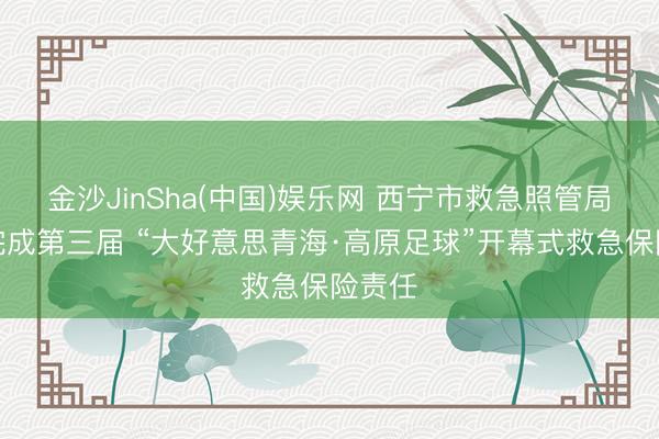 金沙JinSha(中国)娱乐网 西宁市救急照管局圆满完成第三届 “大好意思青海·高原足球”开幕式救急保险责任