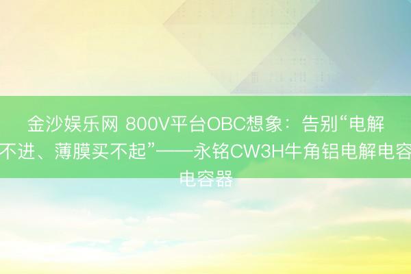 金沙娱乐网 800V平台OBC想象：告别“电解装不进、薄膜买不起”——永铭CW3H牛角铝电解电容器