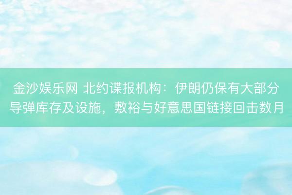 金沙娱乐网 北约谍报机构：伊朗仍保有大部分导弹库存及设施，敷裕与好意思国链接回击数月