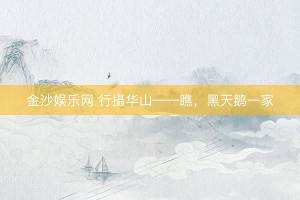 金沙娱乐网 行摄华山——瞧，黑天鹅一家