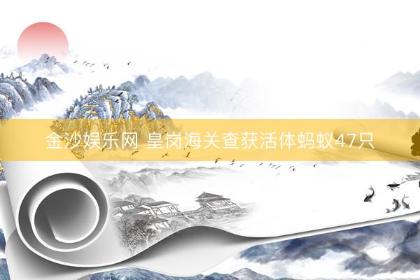 金沙娱乐网 皇岗海关查获活体蚂蚁47只