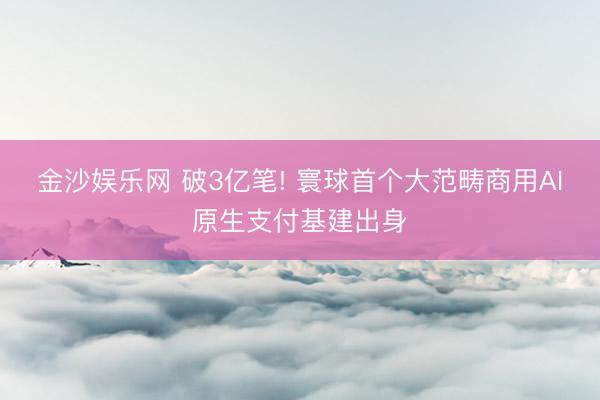 金沙娱乐网 破3亿笔! 寰球首个大范畴商用AI原生支付基建出身