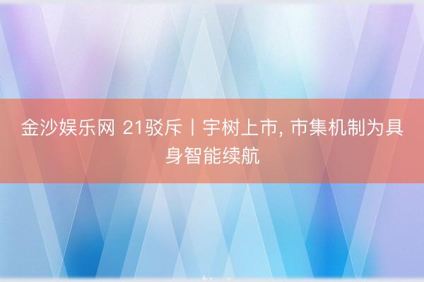 金沙娱乐网 21驳斥丨宇树上市， 市集机制为具身智能续航