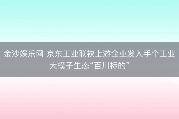 金沙娱乐网 京东工业联袂上游企业发入手个工业大模子生态“百川标的”