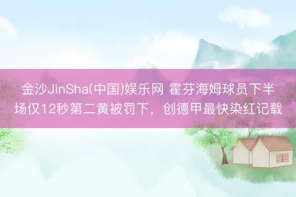 金沙JinSha(中国)娱乐网 霍芬海姆球员下半场仅12秒第二黄被罚下，创德甲最快染红记载