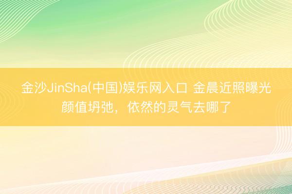 金沙JinSha(中国)娱乐网入口 金晨近照曝光颜值坍弛,依然的灵气去哪了