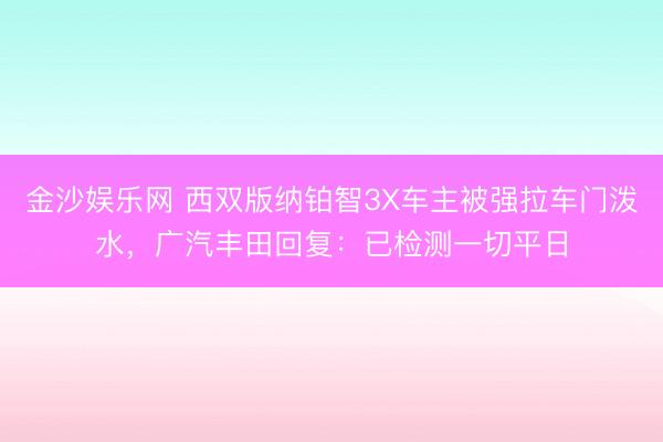 金沙娱乐网 西双版纳铂智3X车主被强拉车门泼水,广汽丰田回复:已检测一切平日